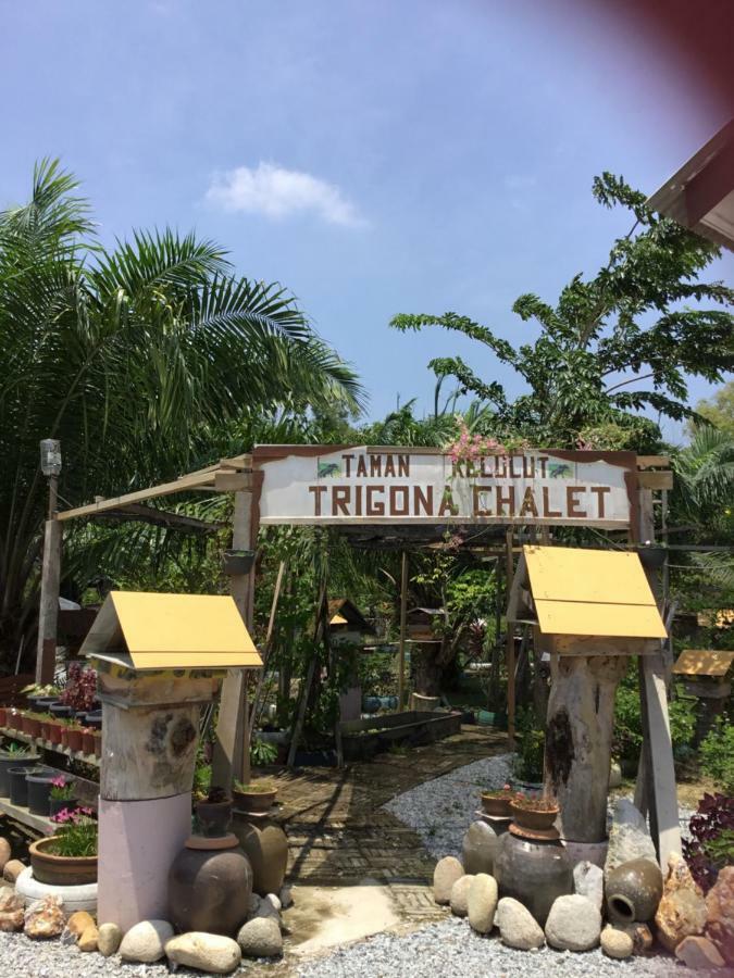 Trigona Chalet Hotel Marang Exterior foto